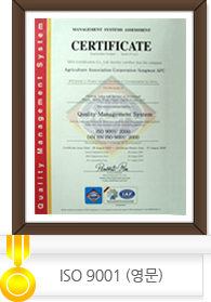 ISO 9001 (영문)
